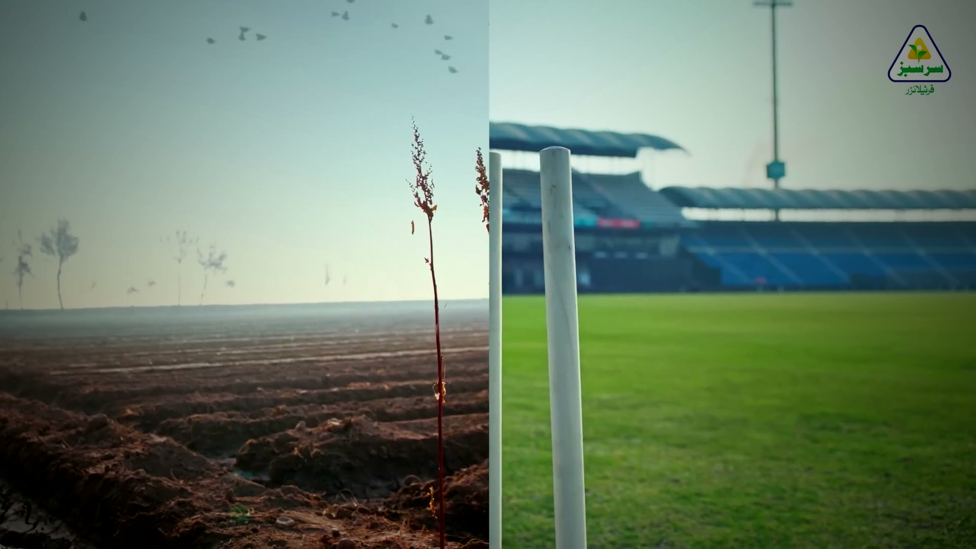 Fatima Fertilizers · Multan Sultan