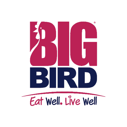 Big Bird